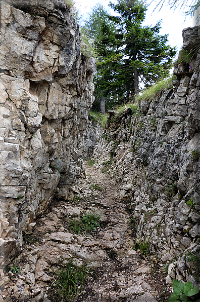 foto Trincee sul Monte Lozze